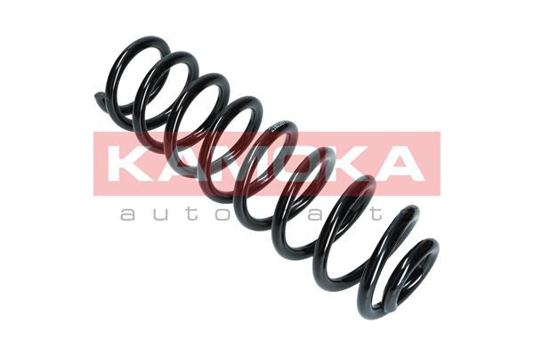 Suspension Spring 4