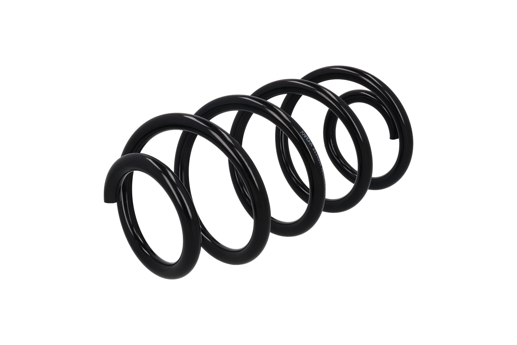 Suspension Spring 4