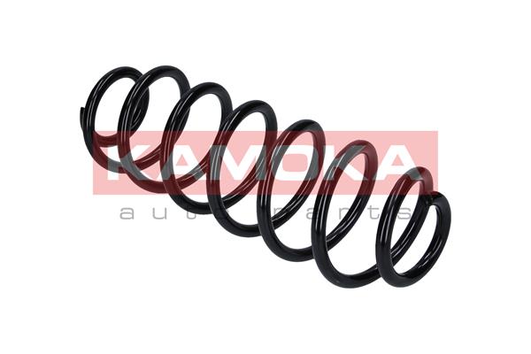 Suspension Spring 2