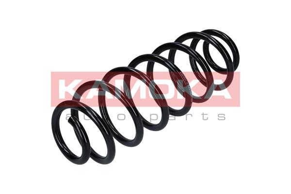 Suspension Spring 3