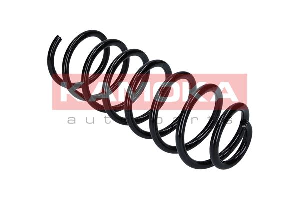Suspension Spring 2