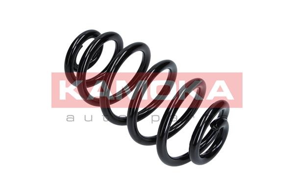 Suspension Spring