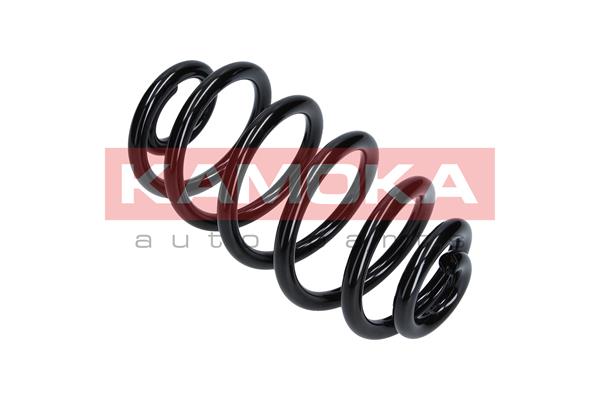 Suspension Spring 3