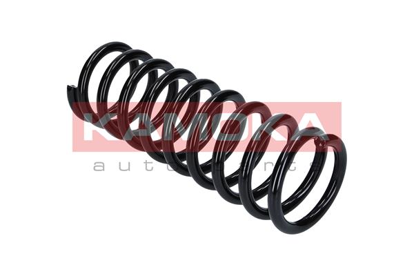 Suspension Spring 2