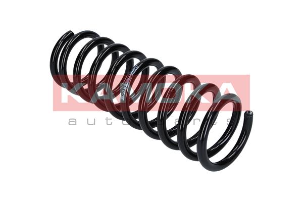 Suspension Spring 4