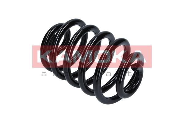 Suspension Spring 4