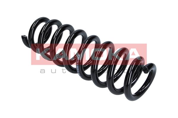 Suspension Spring 2