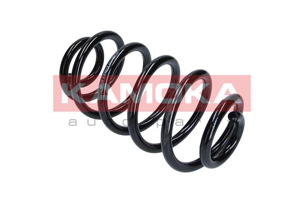 Suspension Spring 2