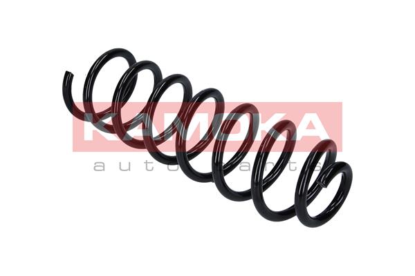 Suspension Spring 2