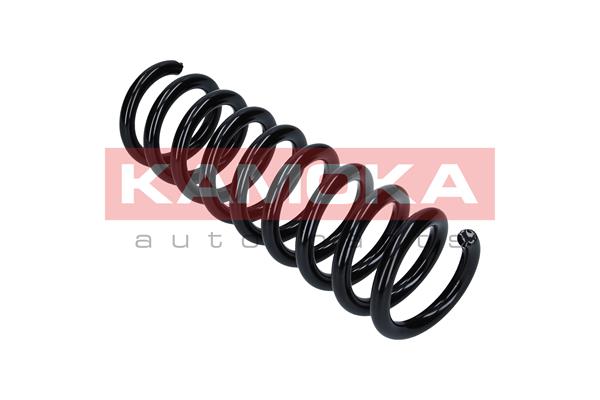 Suspension Spring 2