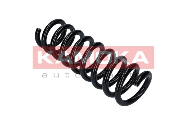 Suspension Spring 4
