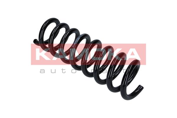 Suspension Spring 2