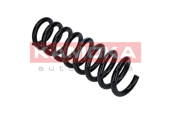 Suspension Spring 4
