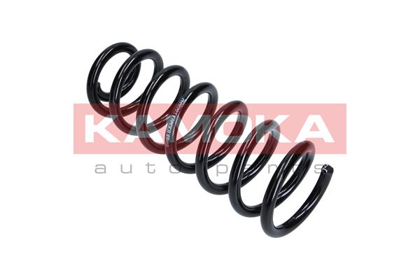 Suspension Spring 3