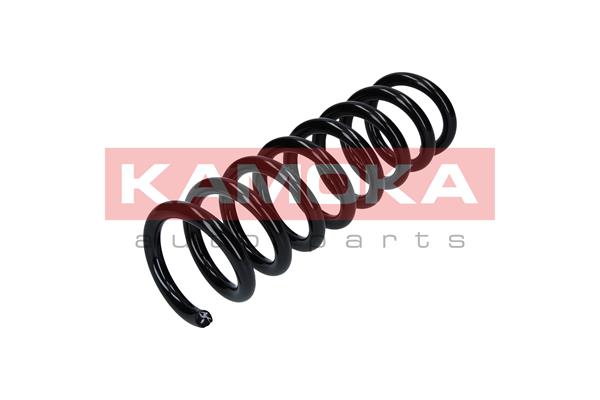 Suspension Spring 3