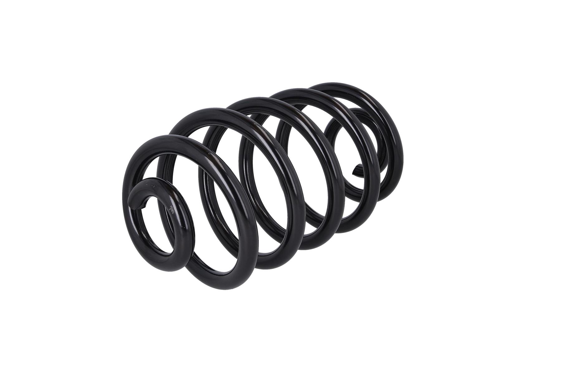 Suspension Spring 2