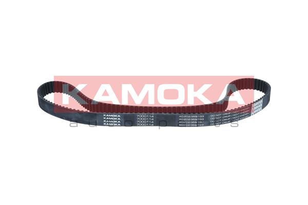 Timing Belt