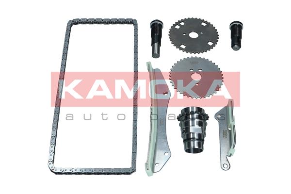 KAMOKA 7001618 Timing Chain...