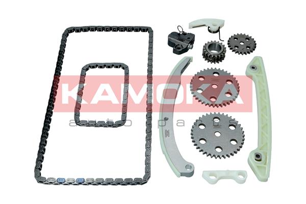 KAMOKA 7001656 Timing Chain...