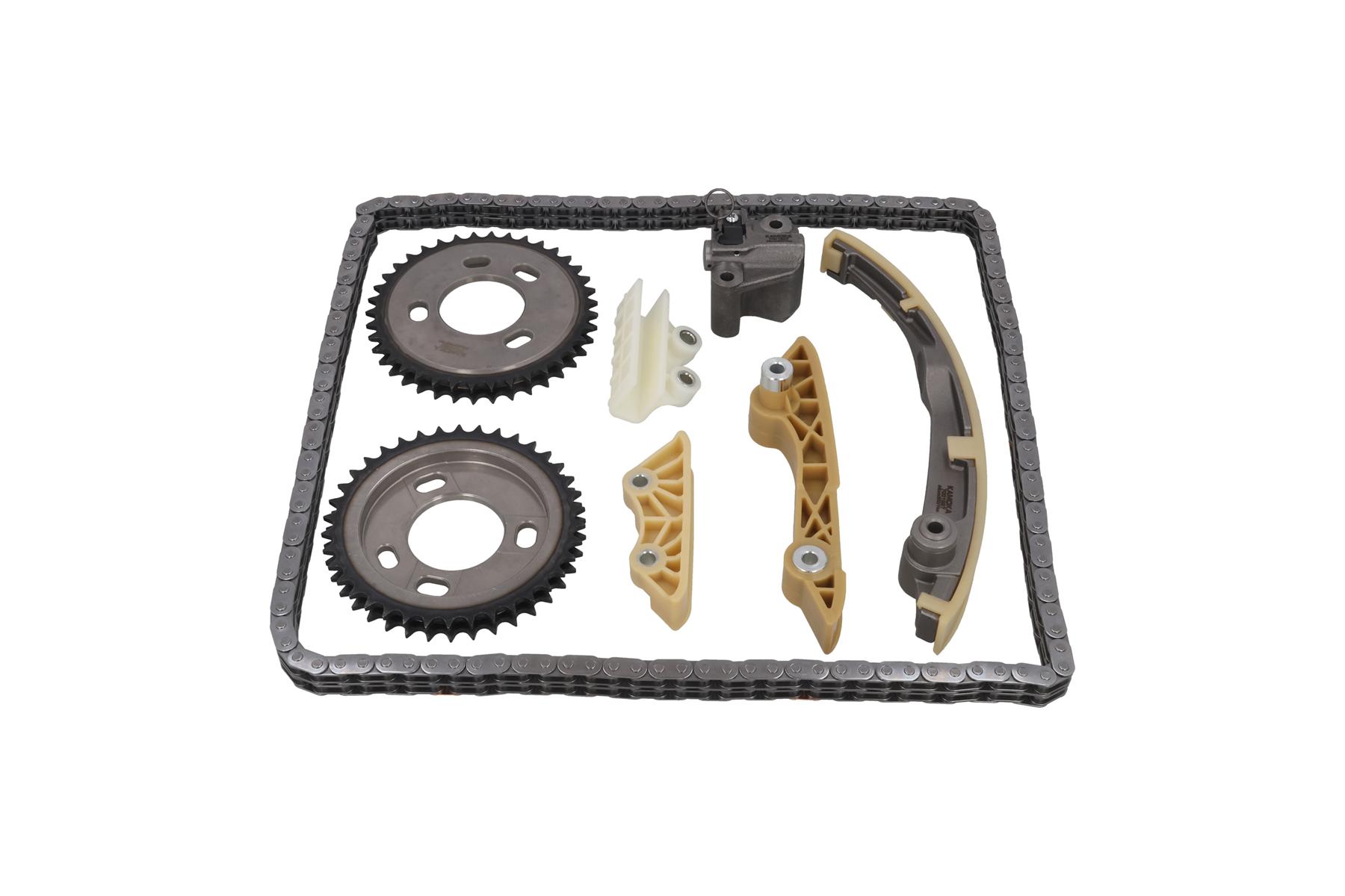 KAMOKA 7001667 Timing Chain...