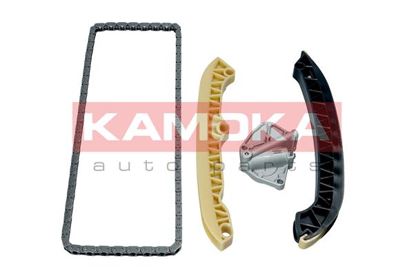 KAMOKA 7001698 Timing Chain...