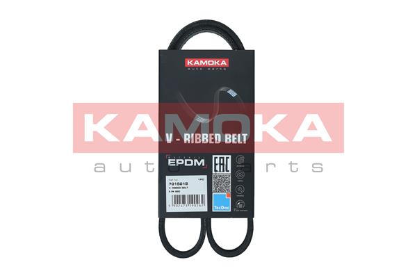 KAMOKA 7015018 V-Ribbed...