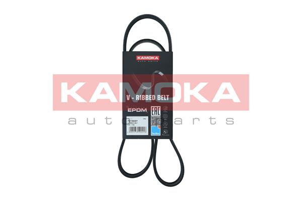 DAYCO KPV576 