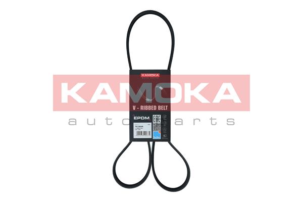 GATES K016PK975 Micro-V® Kit 