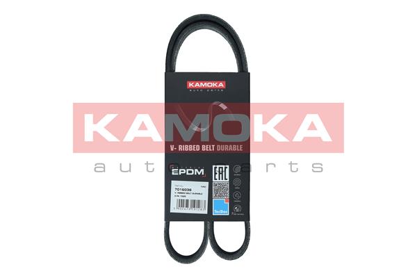 KAMOKA 7016036 Cinghia Poly-V