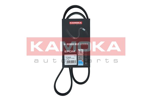KAMOKA 7016056 Cinghia Poly-V