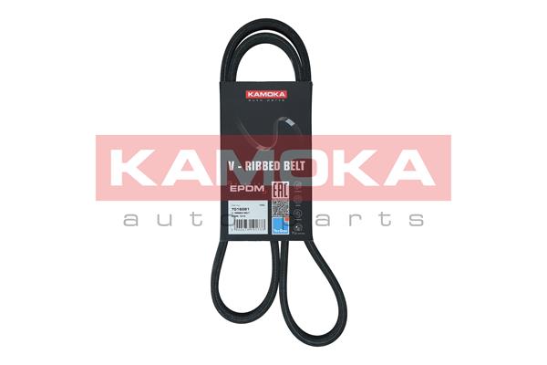 KAMOKA 7016081 Cinghia Poly-V