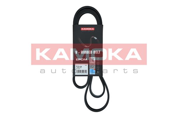 KAMOKA 7016139 Keilrippenriemen