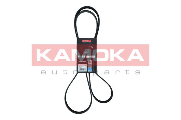 DAYCO KPV552 
