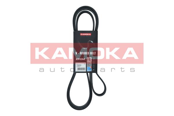 INA FB 6PK1438 