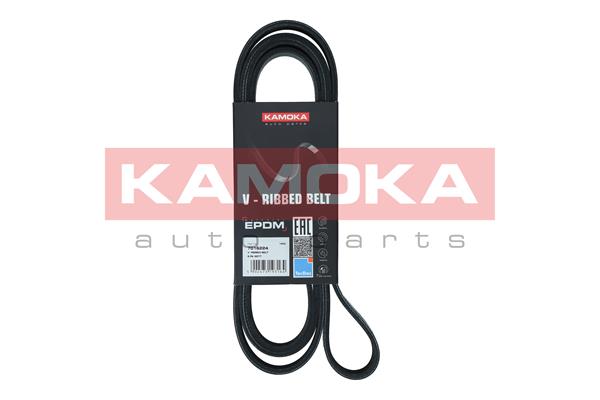 GATES K036PK1725 Micro-V® Kit 