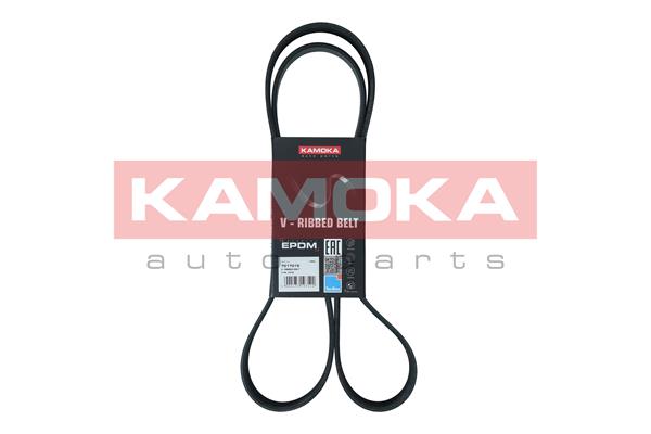 KAMOKA 7017015 Cinghia Poly-V