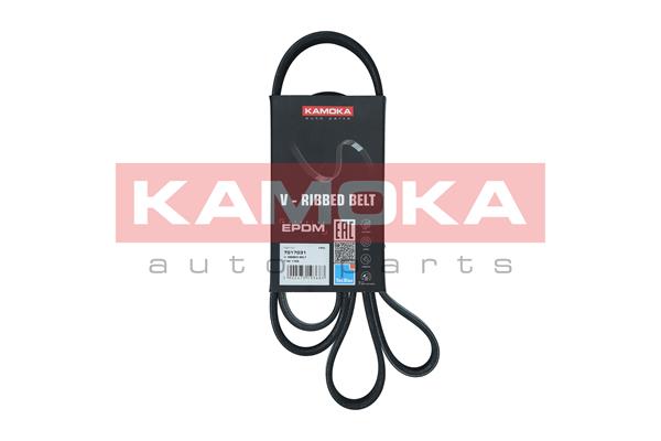 KAMOKA 7017031 Cinghia Poly-V
