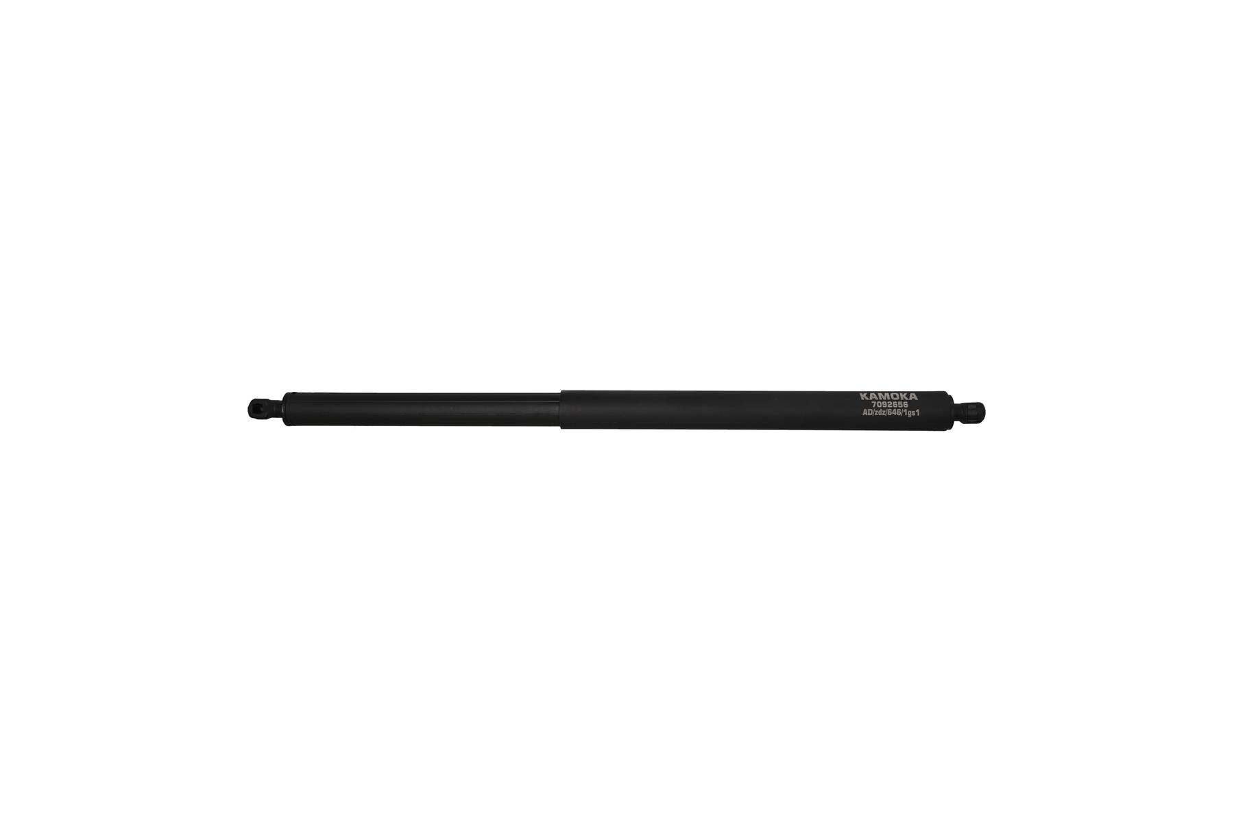 Gas Spring, boot/cargo area