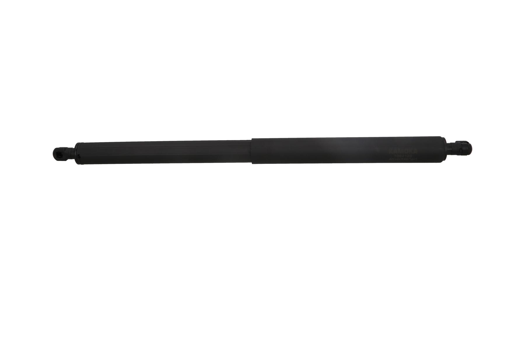 Gas Spring, boot/cargo area