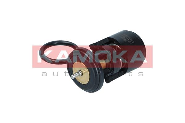 Thermostat, coolant 3