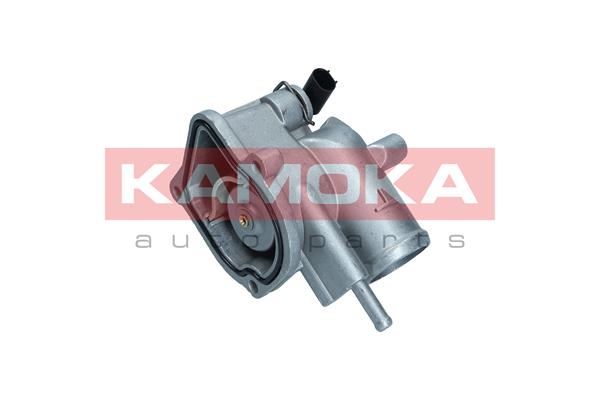 Thermostat, coolant