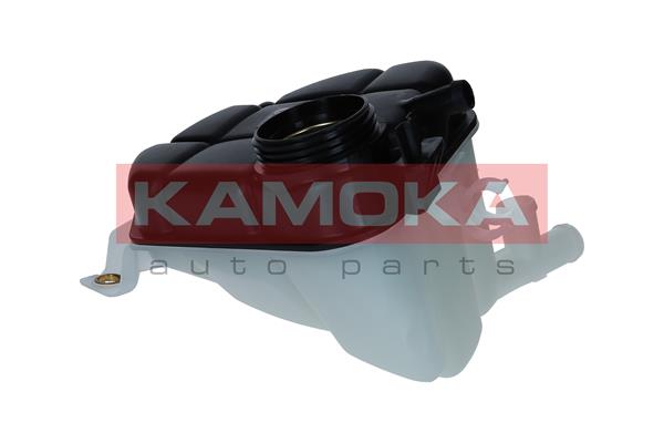 Expansion Tank, coolant 3