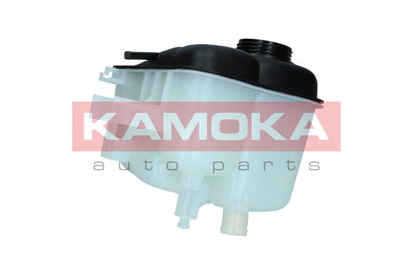 Expansion Tank, coolant 3