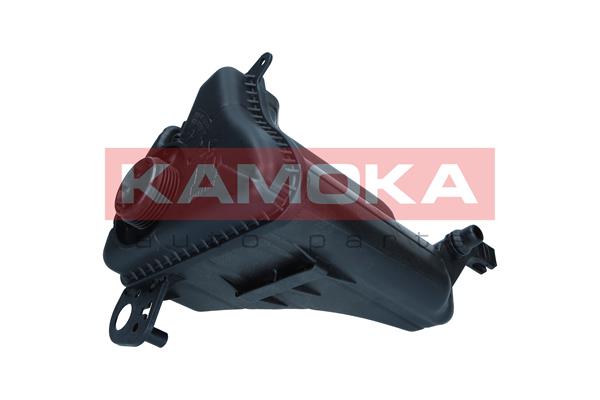 Expansion Tank, coolant 3