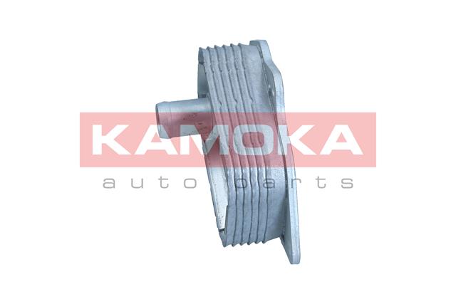 Oil Cooler, engine oil 2