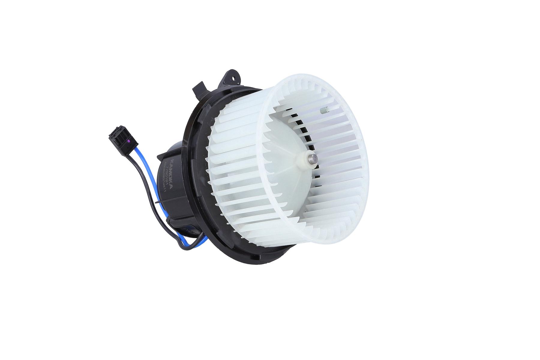 Interior Blower