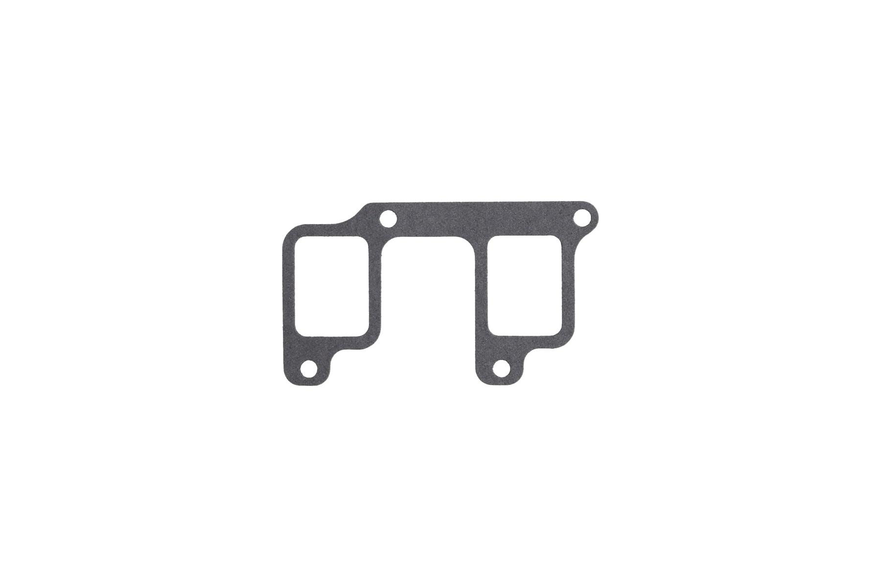 Gasket, intake manifold