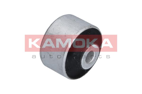 Mounting, control/trailing arm 2