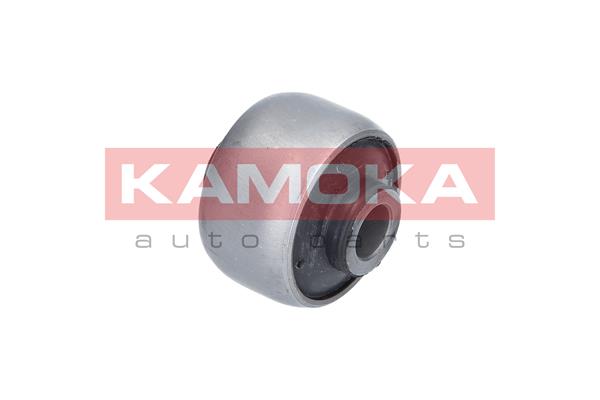 Mounting, control/trailing arm 2