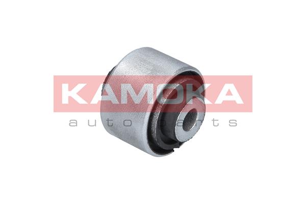 Mounting, control/trailing arm 2